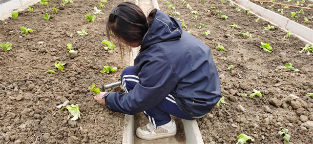 素质教育学校