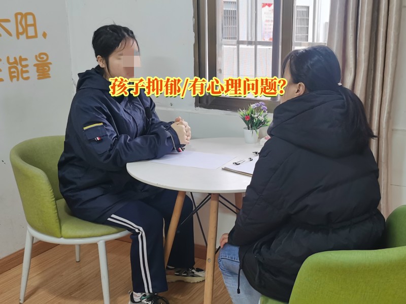 心理辅导学校,抑郁症治疗学校