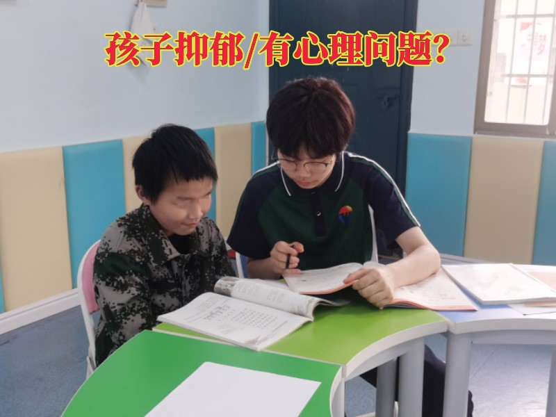 心理辅导学校,抑郁症治疗学校