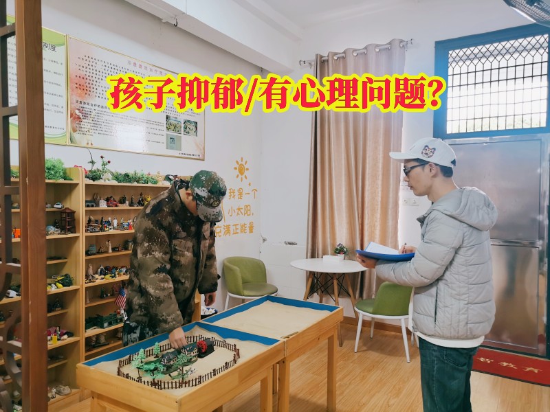 抑郁症治疗学校,心理辅导学校