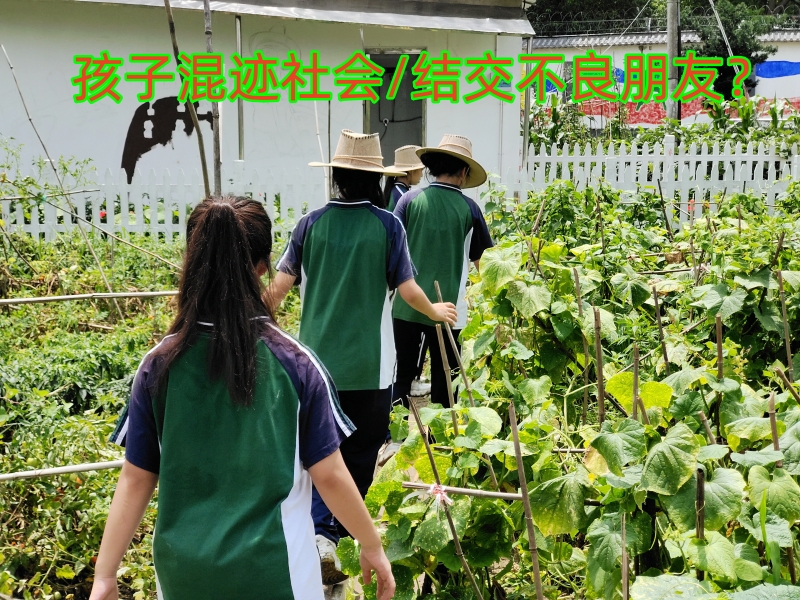 湖南正规叛逆学校,问题青少年教育学校