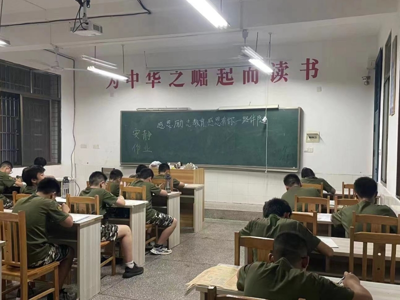 夏令营,睿智青少年特训学校