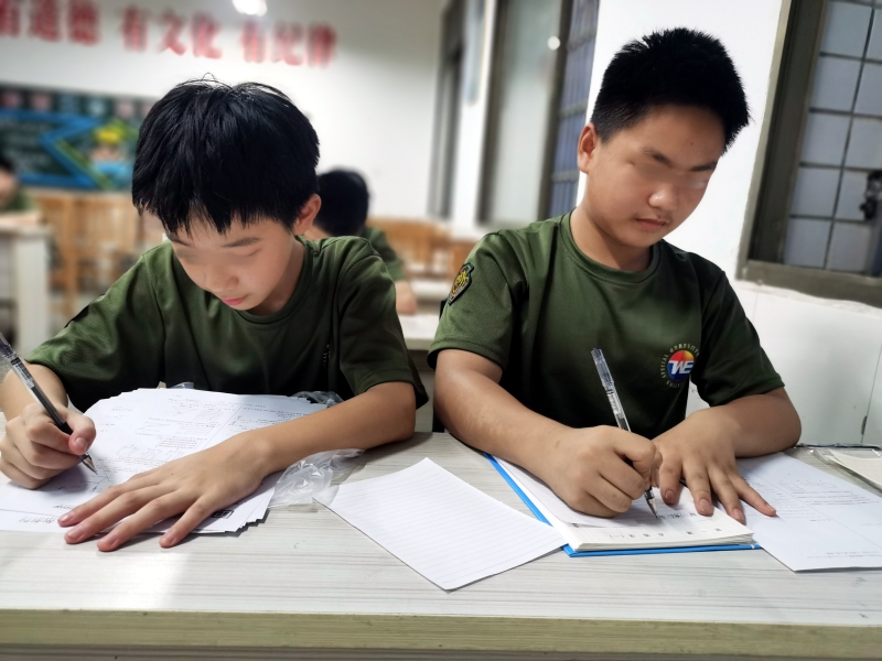 夏令营,睿智青少年特训学校