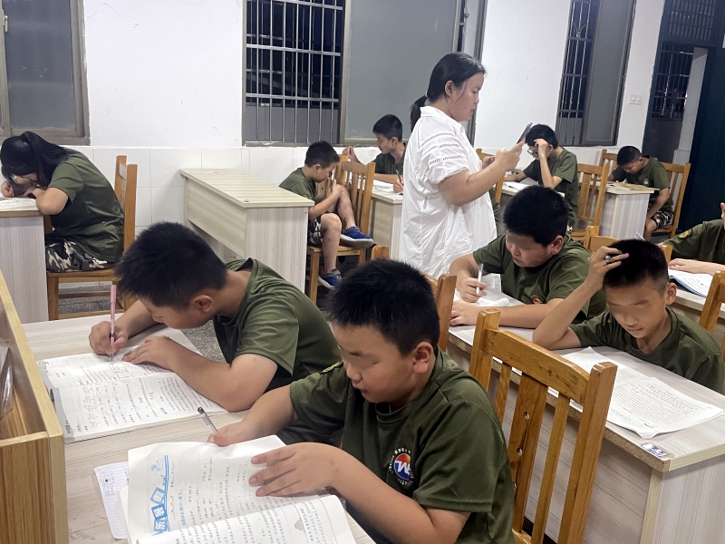 夏令营,睿智青少年特训学校