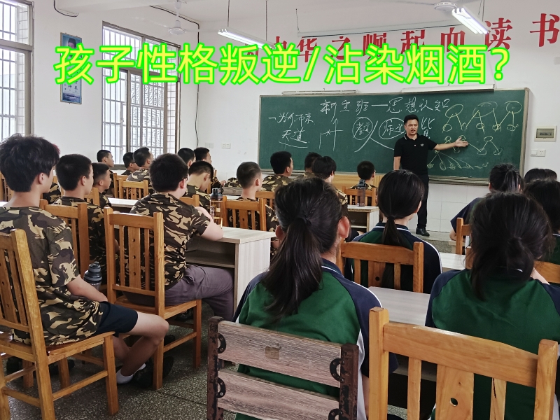 封闭式军事化学校,军事训练学校