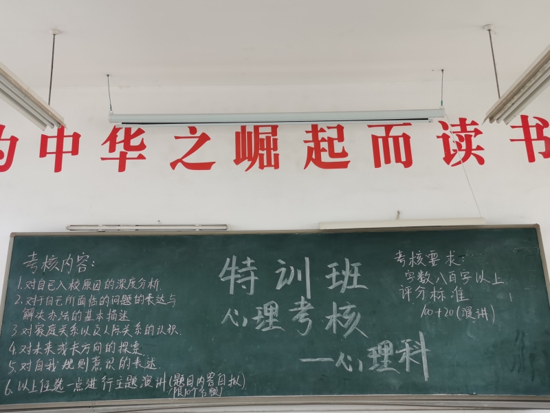 睿智教育专门学校,睿智青少年特训学校