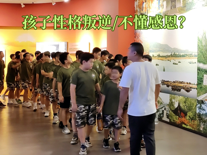 军事训练学校,青少年教育学校