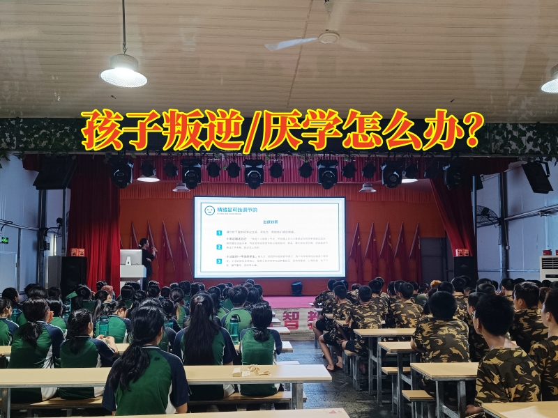 叛逆孩子学校,军事训练学校