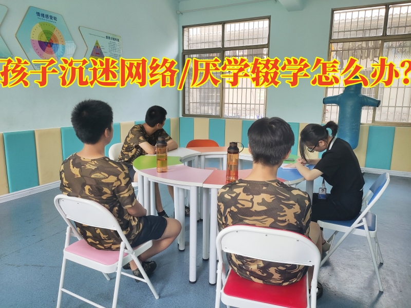 青少年特训学校,特训学校