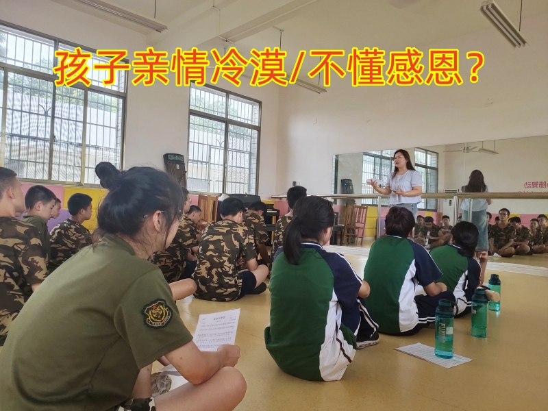 青少年特训学校,特训学校