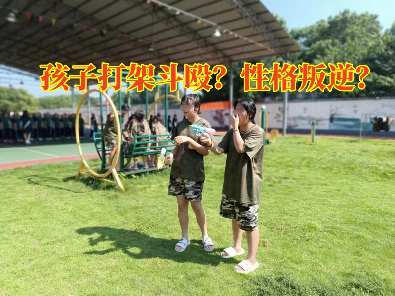 青少年特训学校,特训学校