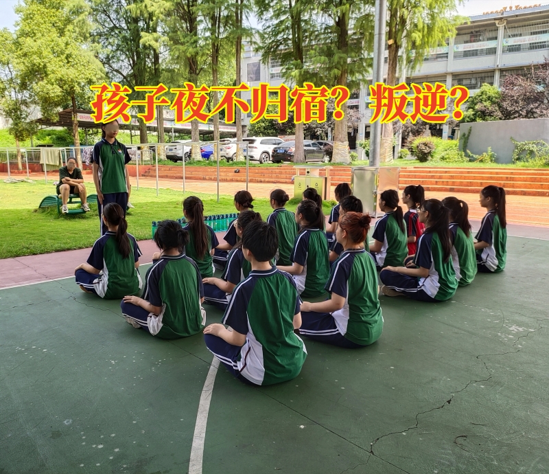 封闭式军事化学校,军事训练学校