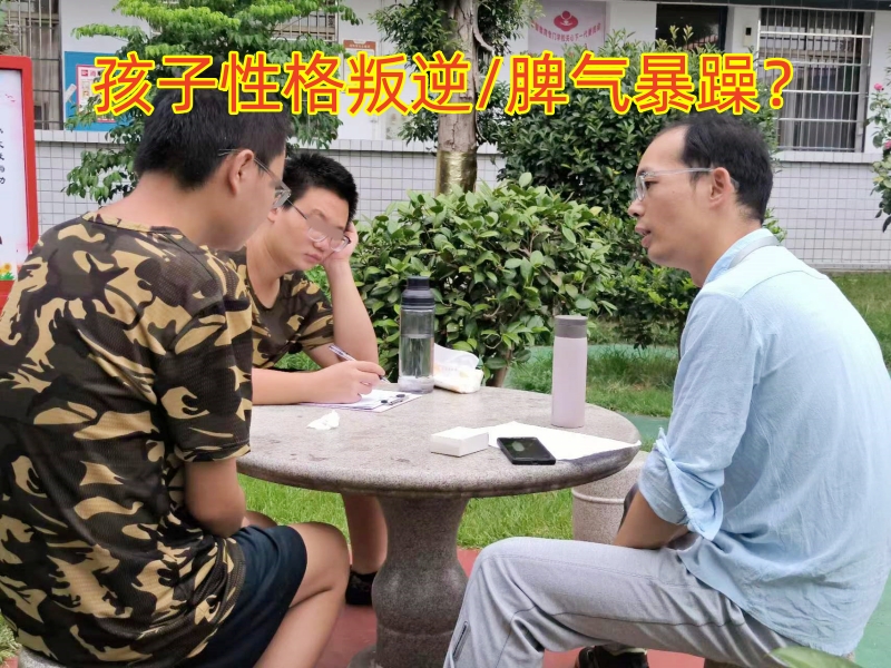 封闭式军事化学校,军事训练学校