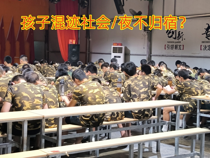 青少年特训学校,特训学校