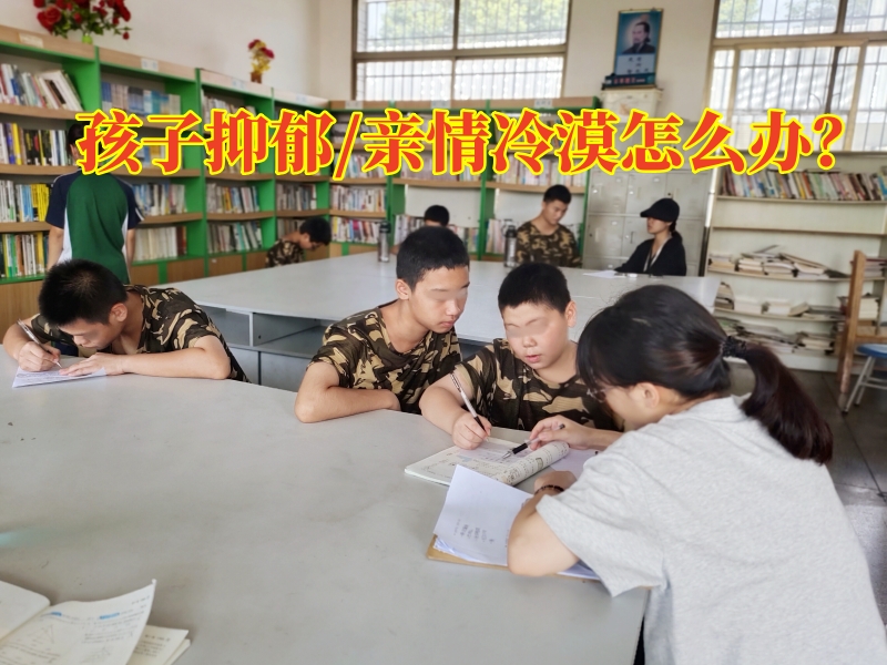 心理辅导学校,心理问题孩子学校