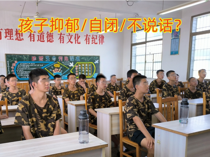 心理辅导学校,心理咨询机构