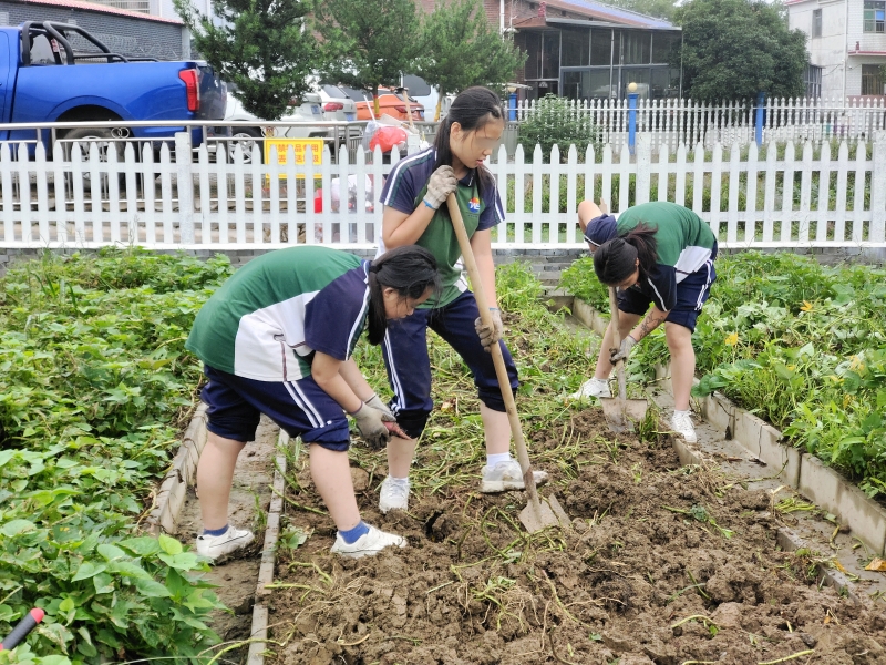 睿智教育专门学校,睿智青少年特训学校