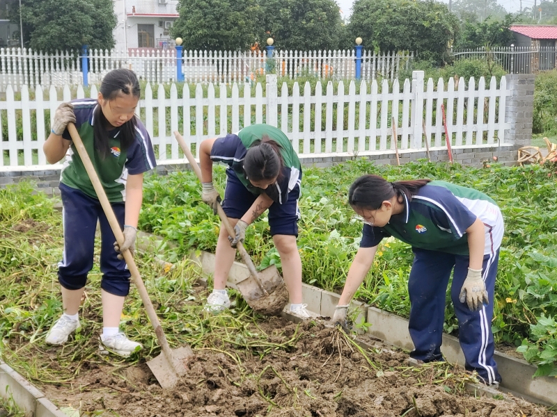 睿智教育专门学校,睿智青少年特训学校