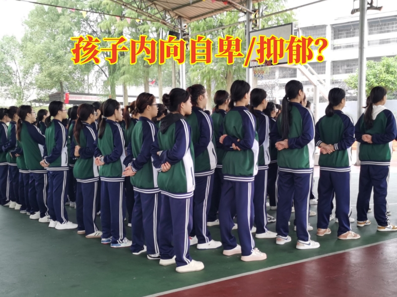 心理辅导学校,心理问题孩子学校