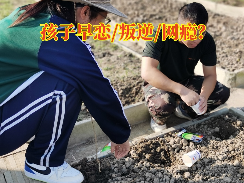 早恋教育学校,孩子早恋矫正学校