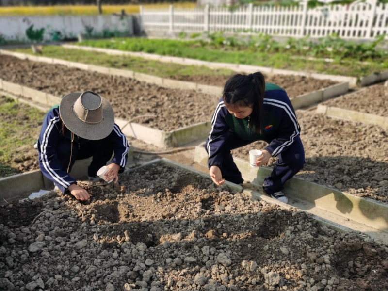 叛逆孩子学校,叛逆教育学校