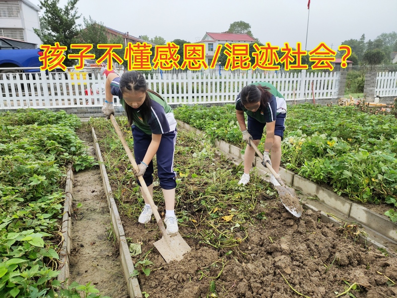 感恩教育学校,青少年教育学校