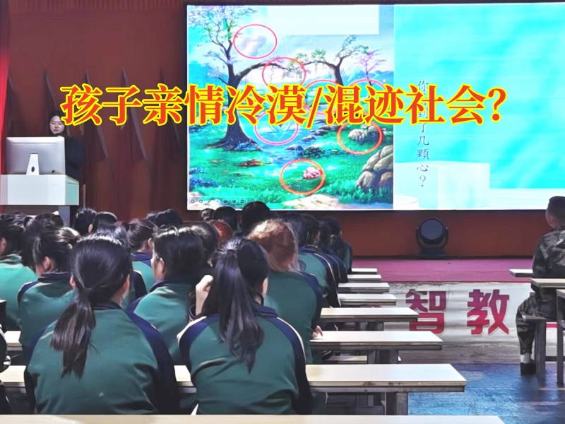 正规的封闭式学校分析孩子亲情冷漠的原因