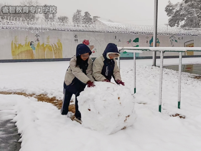 睿智青少年特训学校开展冬日打雪仗活动