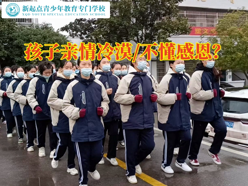 专门教育不听话孩子学校建议这样引导亲情冷漠的孩子