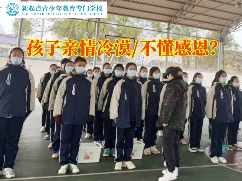 孩子管教学校孩子建议家长这样处理孩子亲情淡漠问题
