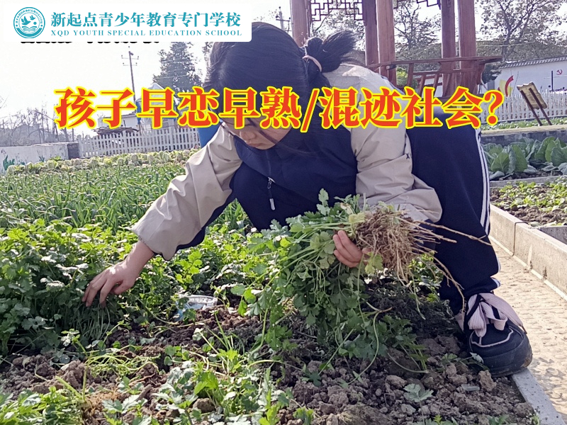 邵阳孩子管教学校教您这样处理孩子网恋问题