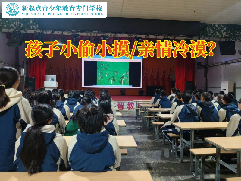 改造叛逆少年学校分析孩子爱偷钱的危害