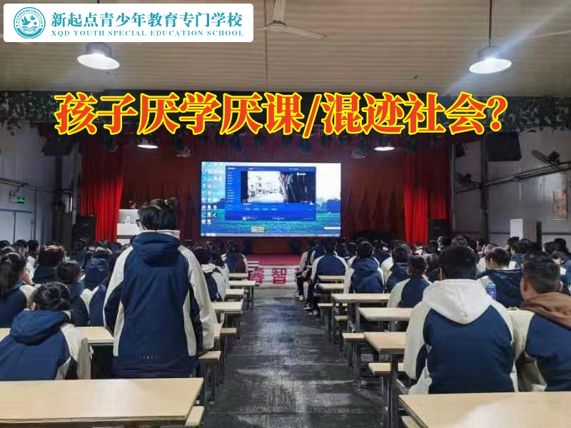 孩子厌学辅导学校探讨孩子厌学的危害