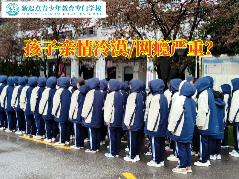 叛逆孩子封闭式学校破译导致孩子亲情冷漠的原因