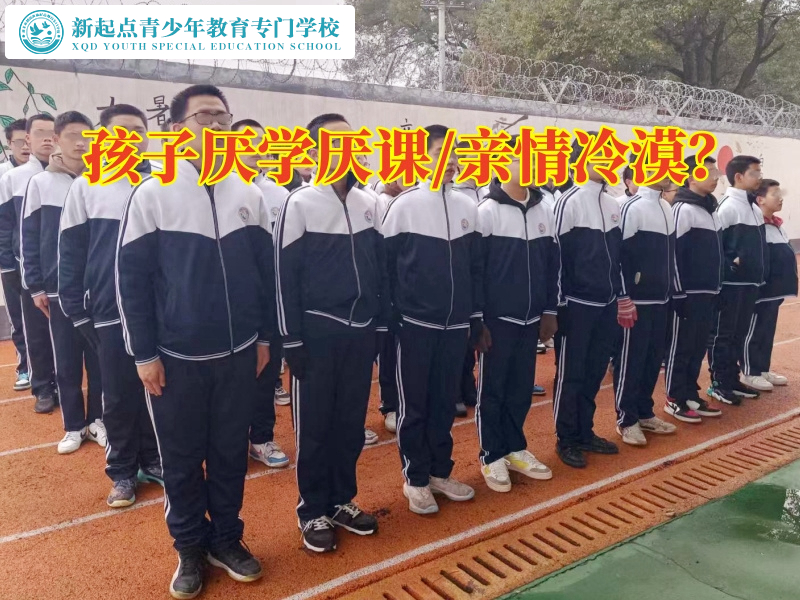 教育厌学孩子的机构重燃孩子学习热情