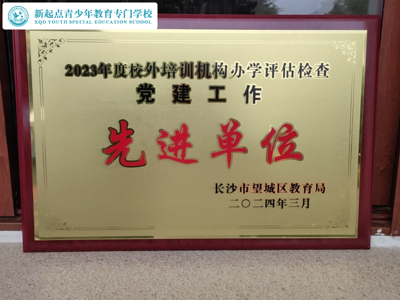 睿智教育荣获望城区年检优秀单位和党建先进单位称号