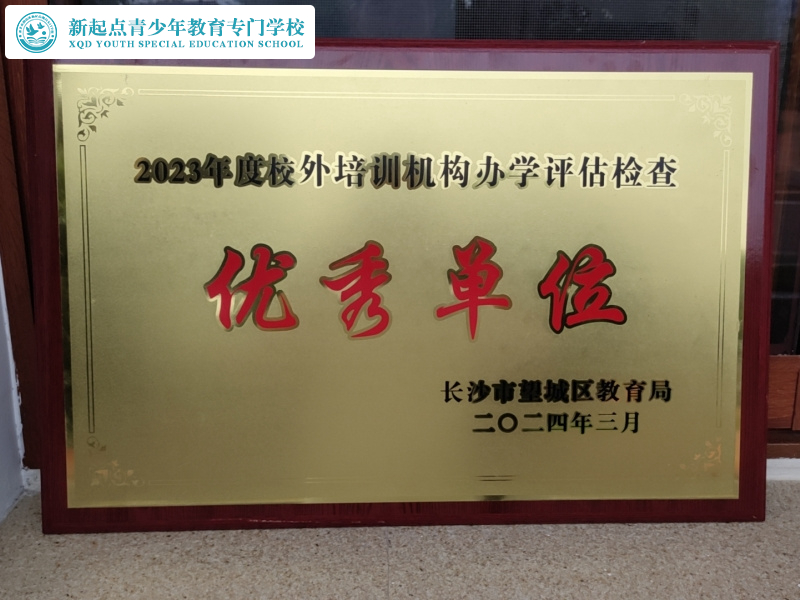 睿智教育荣获望城区年检优秀单位和党建先进单位称号