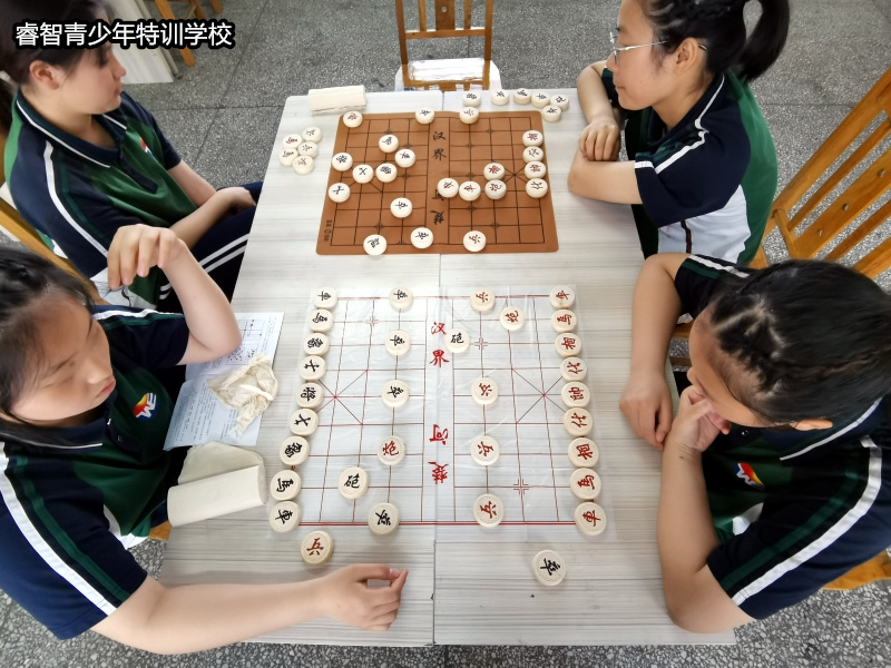 睿智教育专门学校组织象棋学习活动