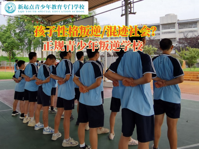 正规青少年叛逆学校矫正孩子仇视父母行为