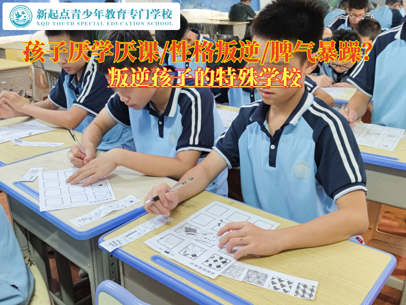 叛逆孩子的特殊学校分析厌学问题如何解决