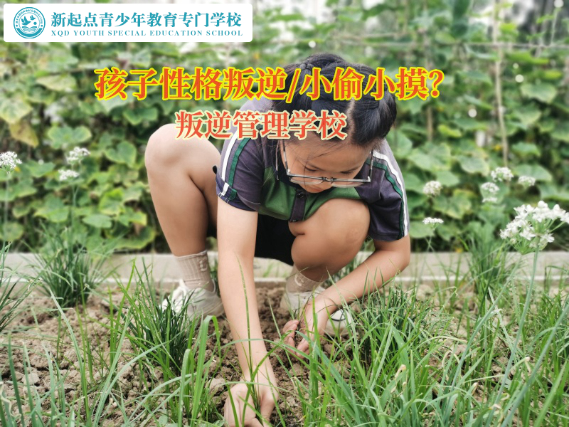 叛逆管理学校矫正孩子偷盗行为