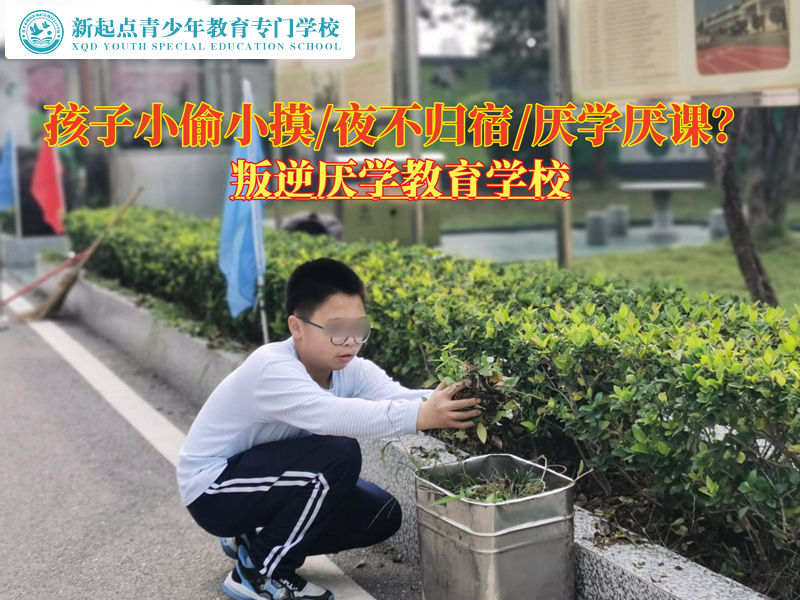 叛逆厌学教育学校改变青少年小偷小摸