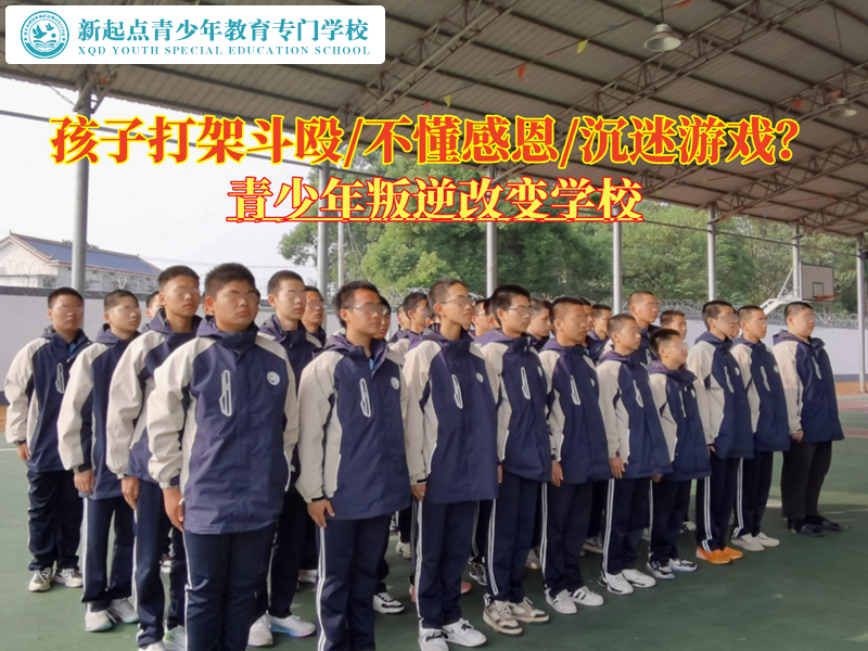青少年叛逆改变学校纠正孩子动手打架的习惯