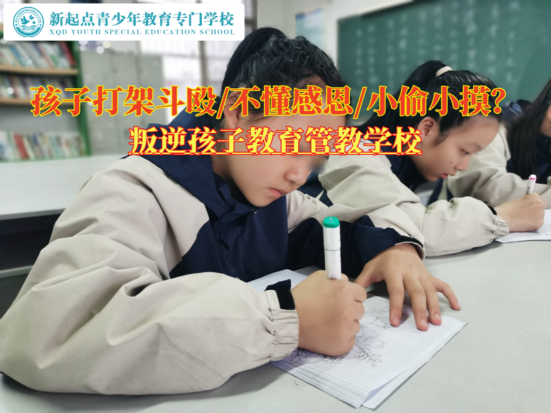 叛逆孩子教育管教学校改变总打架的青少年