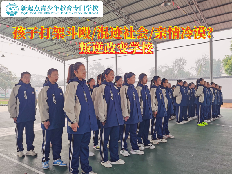 叛逆改变学校谈如何教育经常打架的青少年