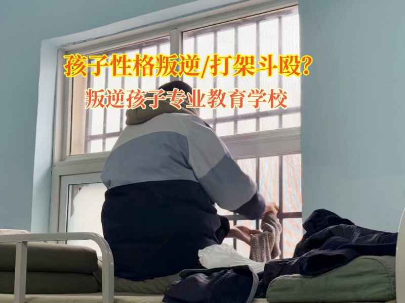 叛逆孩子专业教育学校教育孩子要远离暴力