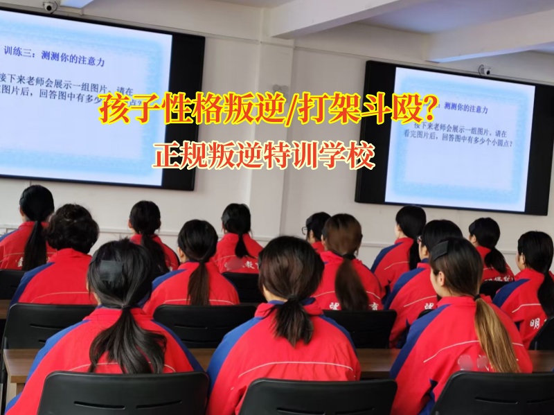 正规叛逆特训学校教育青少年勿要打架斗殴