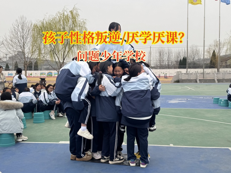 问题少年学校管教孩子爱撒谎这个问题