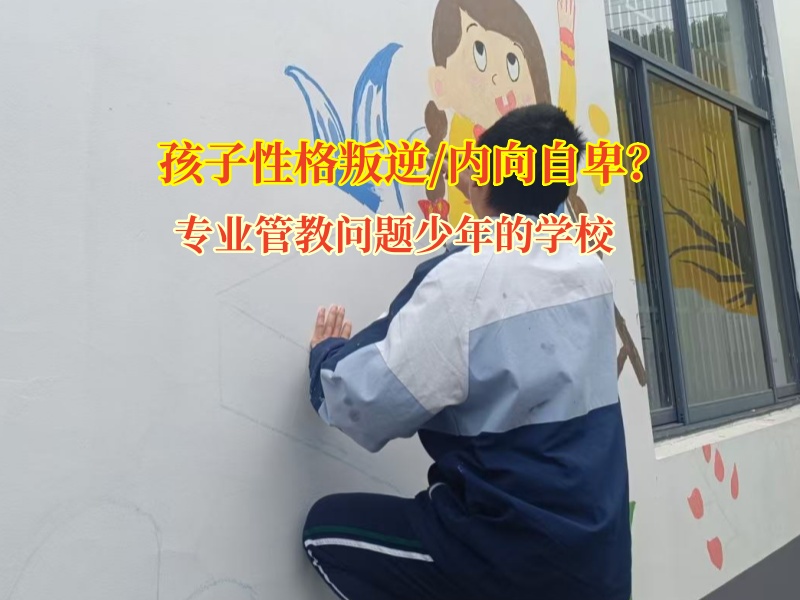 专业管教问题少年的学校教孩子走出孤僻怪圈