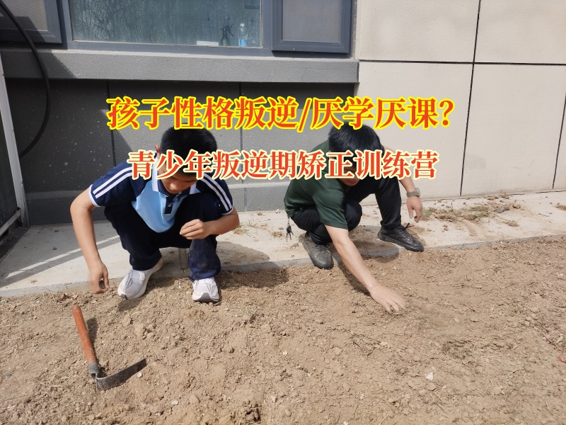 青少年叛逆期矫正训练营矫正高中生不上学现象